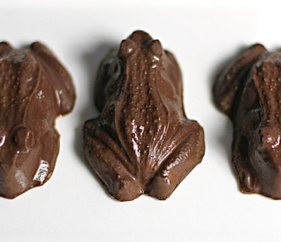 chocolate-frogs-2-570x341